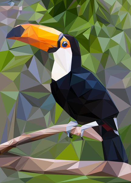 Toucan-low-poly