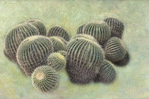 Cactus Party by Elisabeth  Lucas