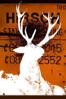  deer - Hirsch by Chris Berger