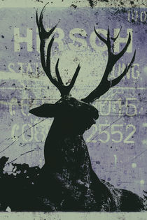 Hirsch - Deer by Chris Berger