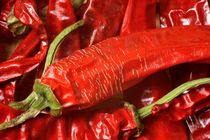 rote Chili by Frank  Kimpfel