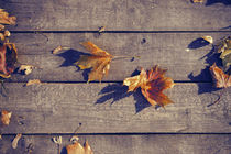 Autumn Leaves von cinema4design