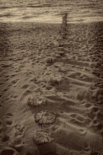 Holzbuhnen am Strand von Claudia Evans