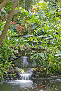 Two Waterfalls in Sunken Gardens von Eugene Norris