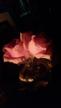 zwei Rosen im Glas by bella