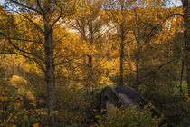 Steinbrücke bei Beuron - Naturpark Obere Donau von Christine Horn