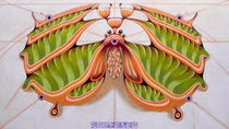 Fibonacci moth von federico cortese