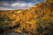 Die Donau bei Beuron im Herbst - Naturpark Obere Donau von Christine Horn