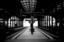 Wiesbaden Hauptbahnhof  by Bastian  Kienitz