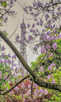 Tour Eiffel with lilacs by Maria Preibsch