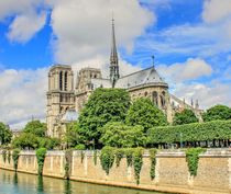 Notre Dame de Paris by Maria Preibsch