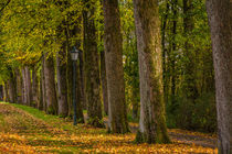Herbst in Halver by Simone Rein