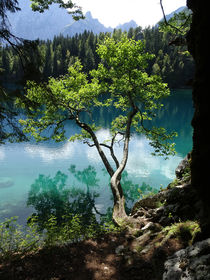Lago di Fusine by Mathias Karner