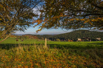 Herbst in Plettenberg by Simone Rein