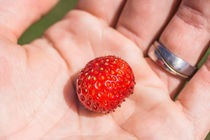 Erdbeere auf einer Hand by Mathias Karner