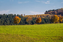 Herbst in Plettenberg von Simone Rein