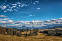 Landschaft im Ostallgäu von Christine Horn
