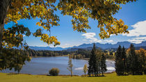 Herbst am Schwaltenweiher im Ostallgäu by Christine Horn