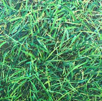 Gras I by Christian Woschek