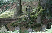 Alter Friedhof von Jenny Daub