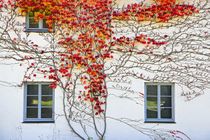 Herbstliche Fassade von Bernhard Kaiser
