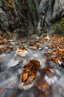 Heckenbach Wasserfall - Bayern von Florian Westermann