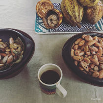 cocoa beans.. Kakaobohnen by mokiwi