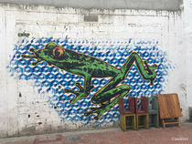 street frog by mokiwi