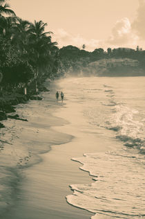 Tropical Beach by cinema4design
