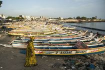 Fish Market Senegal by xaumeolleros