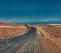 on the road by emanuele molinari
