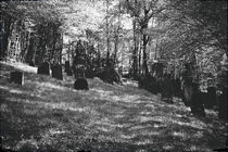 Jüdischer Friedhof  von Bastian  Kienitz