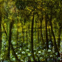 Waldseemystik - Forest lake mysticism von Chris Berger