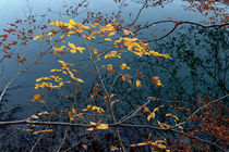 Herbstwasser by heiko13