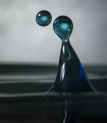 water drops by Tim Seward