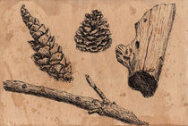 Forest treasures, cone,  branch, piece of wood by Ellen Paul watercolor