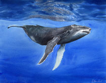 Underwater whale, HUMPBACK WHALE, deep water, watercolor by Ellen Paul watercolor