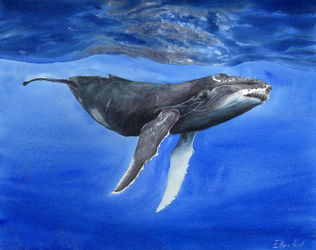 Underwaterwhale