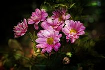 Zarte Blumen by Claudia Evans