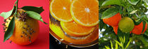 Frische Apfelsinen, Makrofotografie, orange  von Dagmar Laimgruber