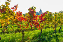 Herbst an der Burgkirche 18 by Erhard Hess