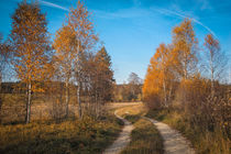 Herbstimpression Irndorfer Hardt III - Naturpark Obere Donau by Christine Horn