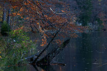 Herbstimpression by heiko13
