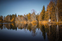 Herbstliche Stimmung am Nillweiher im Pfrunger-Burgweiler Ried by Christine Horn