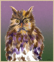 Owl by Zeke Nord
