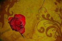 Die Rose by Claudia Evans