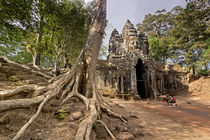  Ta Phrom Tempel, Angkor Wat Tempel, Kambodscha, by travelstock44