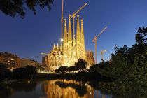 Sagrada Familia, Barcelona, Spanien  by travelstock44