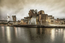 Guggenheim Museum, Bilbao, Baskenland  by travelstock44