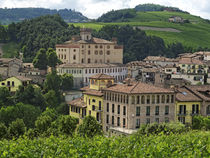 Weinanbau in Barolo, Schloss,  Provinz Piemont, Italien von travelstock44